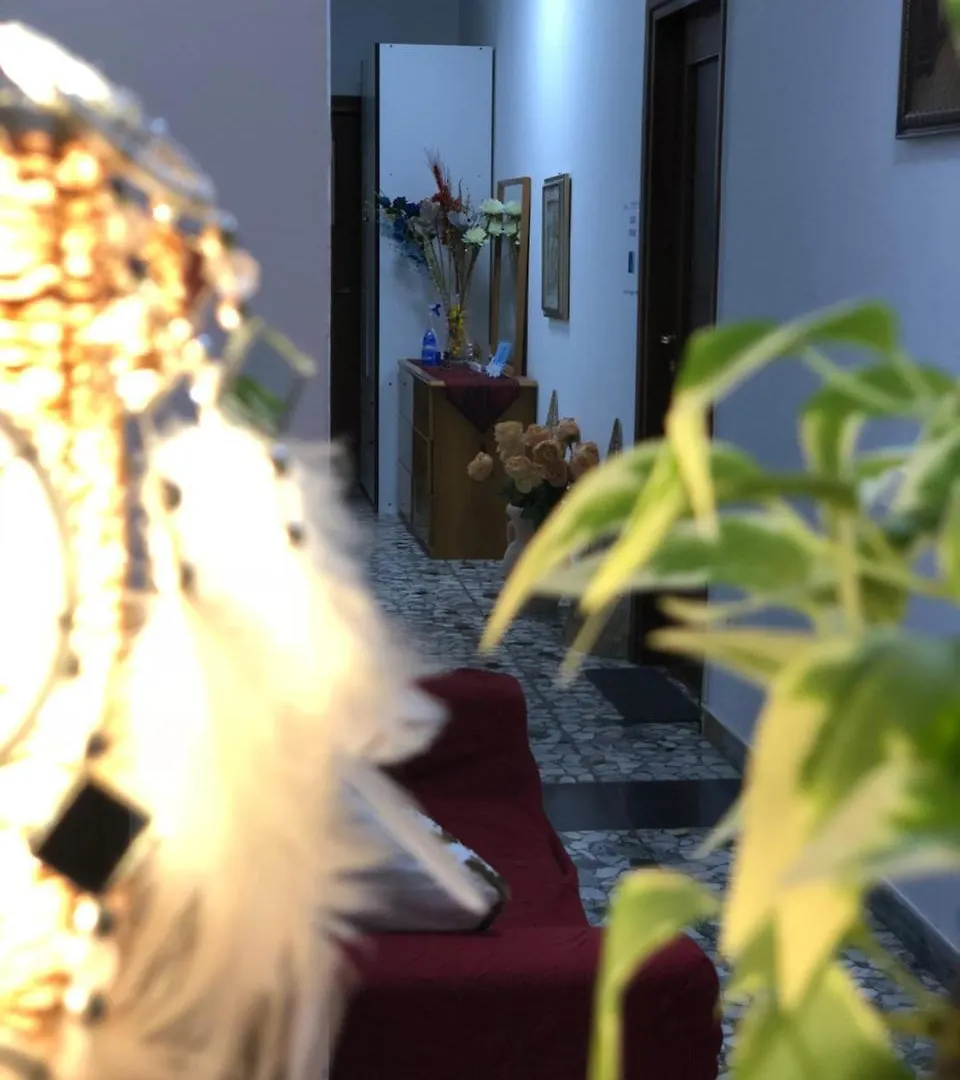 بيت ضيافة فندق بي بي ستاي ستيشن ميستر